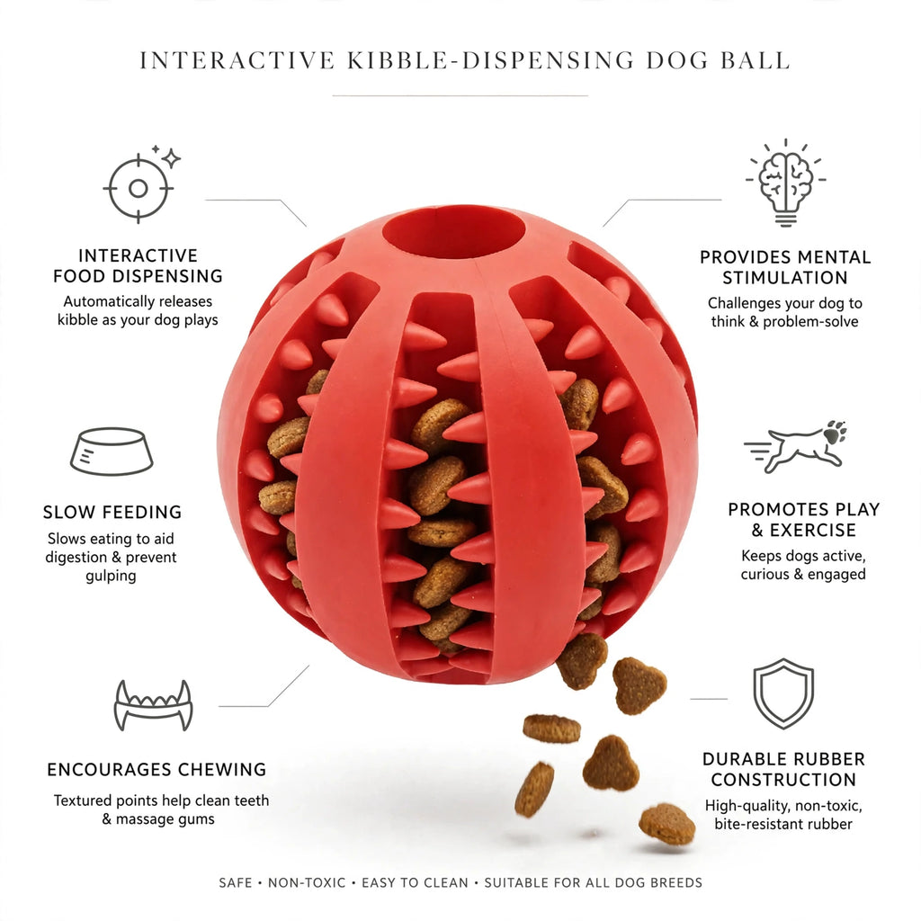 Treat Ball