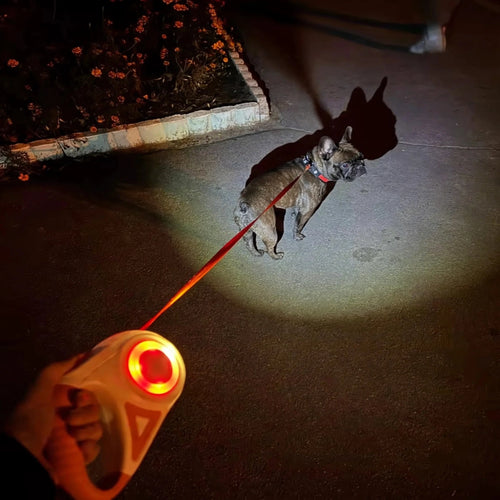 Light Leash™ — La laisse lumineuse de nouvelle génération